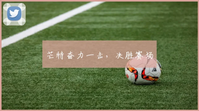 芒特奋力一击，决胜赛场