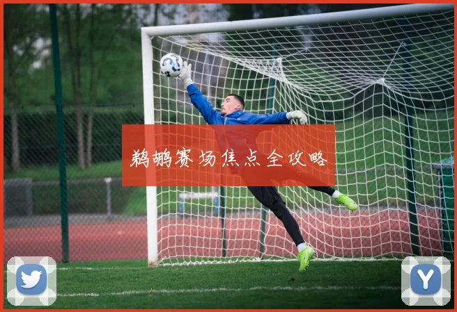鹈鹕赛场焦点全攻略