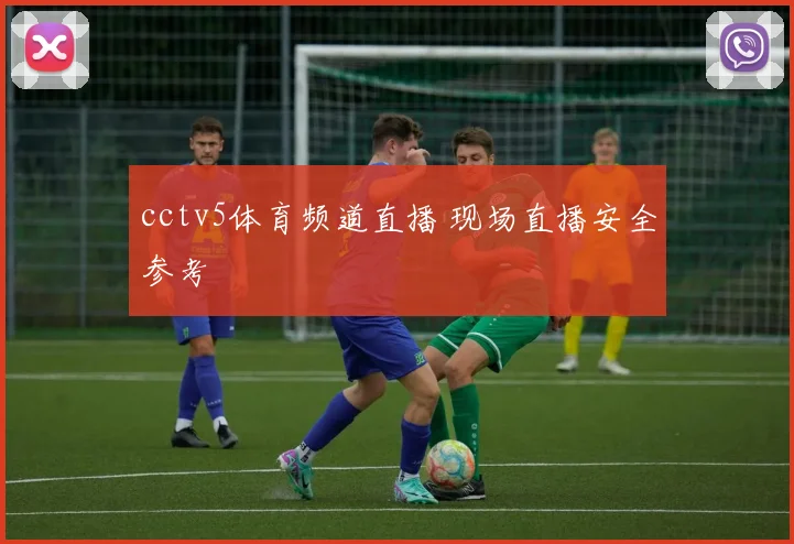 cctv5体育频道直播 现场直播安全参考