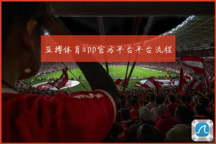 亚搏体育app官方平台平台流程