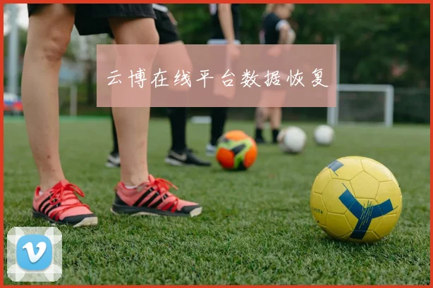 云博在线平台数据恢复
