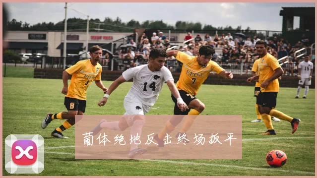 葡体绝地反击终场扳平