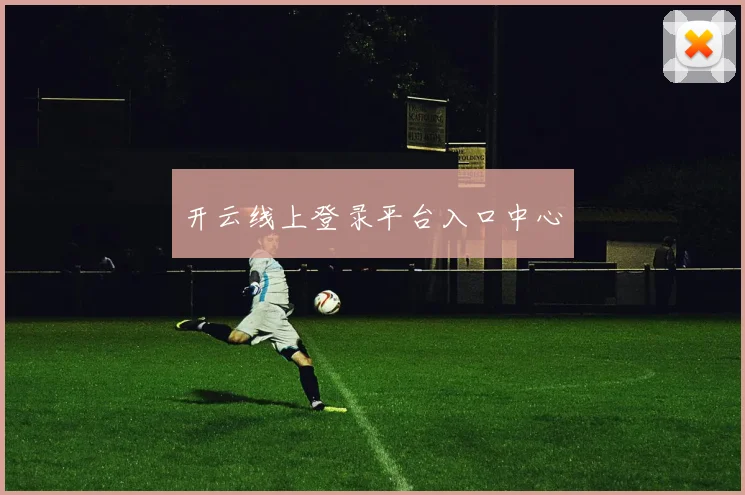 开云线上登录平台入口中心