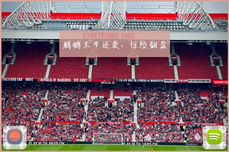 鹈鹕末节逆袭，惊险翻盘