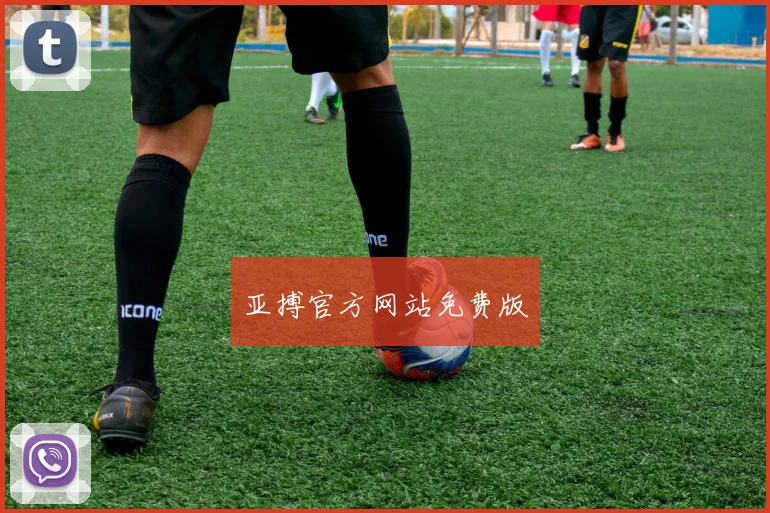 亚搏官方网站免费版