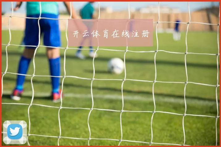 开云体育在线注册