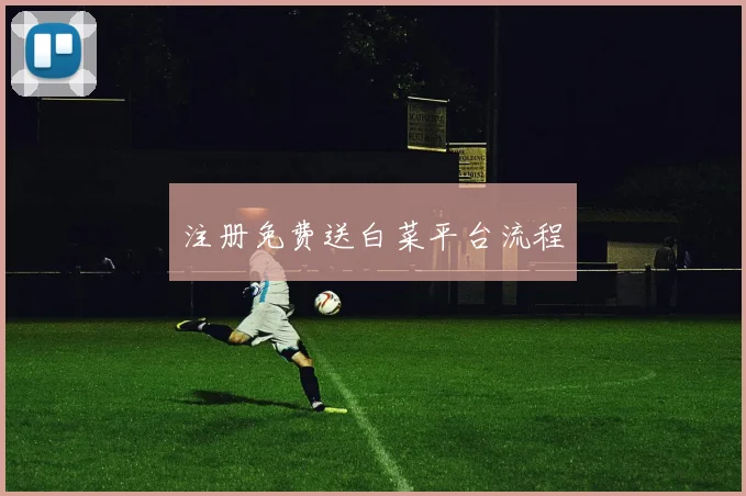 注册免费送白菜平台流程