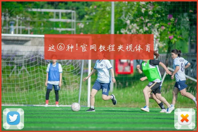 这⑥种!官网教程央视体育