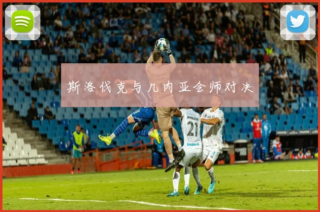 斯洛伐克与几内亚会师对决