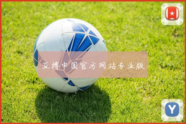 亚搏中国官方网站专业版