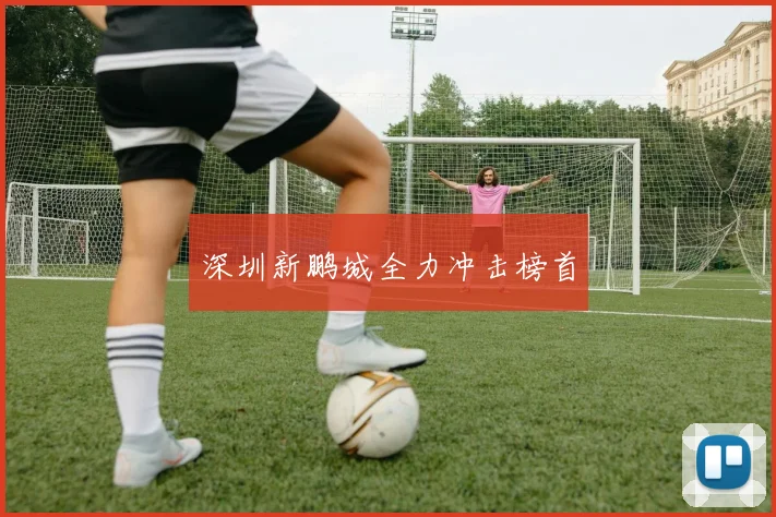 深圳新鹏城全力冲击榜首