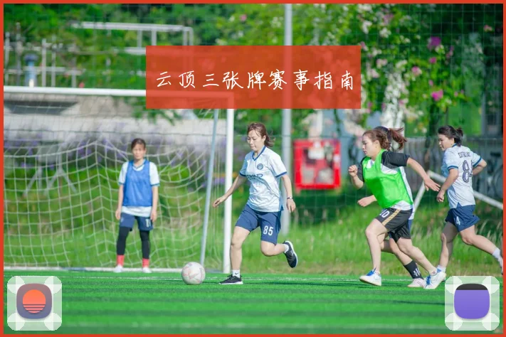 云顶三张牌赛事指南