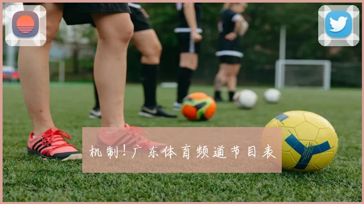 机制!广东体育频道节目表