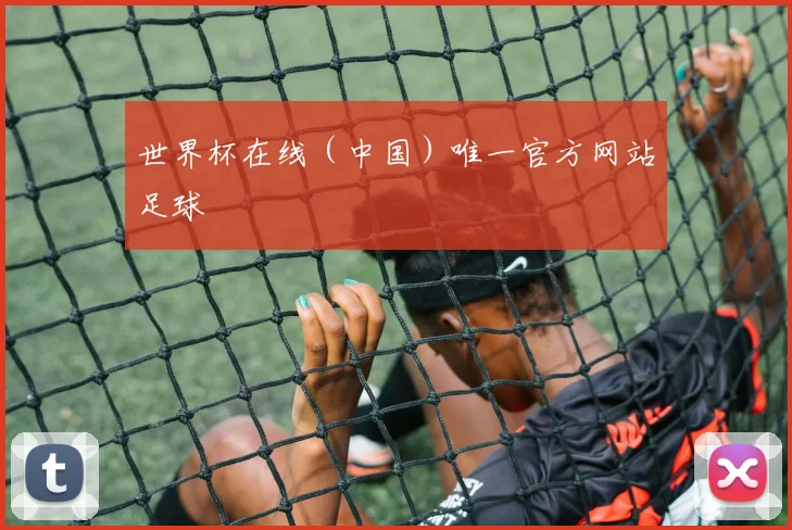 世界杯在线（中国）唯一官方网站足球