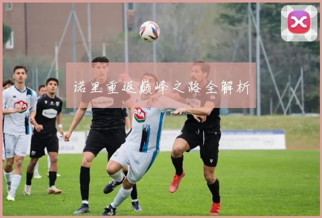 诺里重返巅峰之路全解析