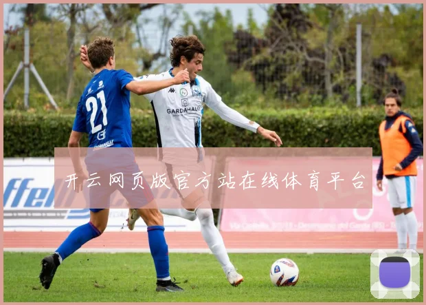 开云网页版官方站在线体育平台