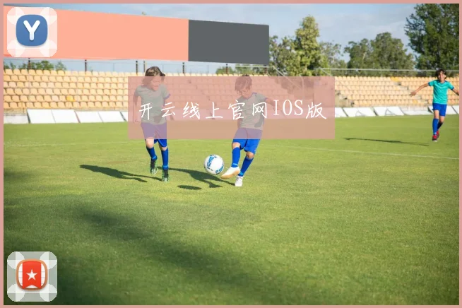 开云线上官网IOS版