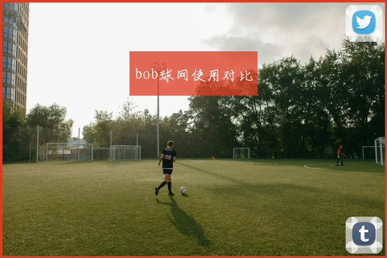 bob球网使用对比