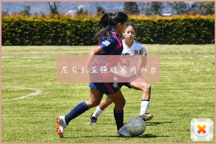 尼日利亚强碰塞内加尔