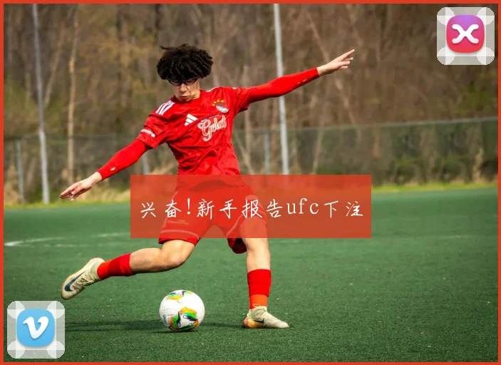 兴奋!新手报告ufc下注