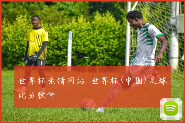 世界杯竞猜网站_世界杯(中国)足球比分软件