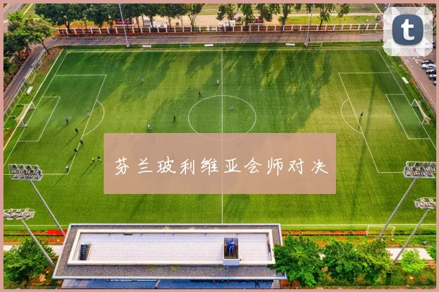 芬兰玻利维亚会师对决