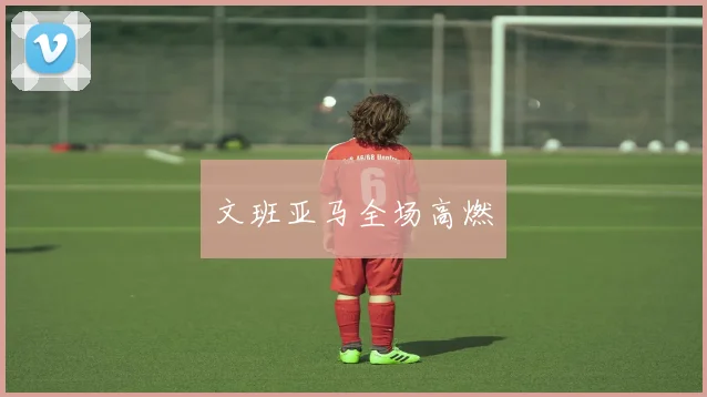 文班亚马全场高燃