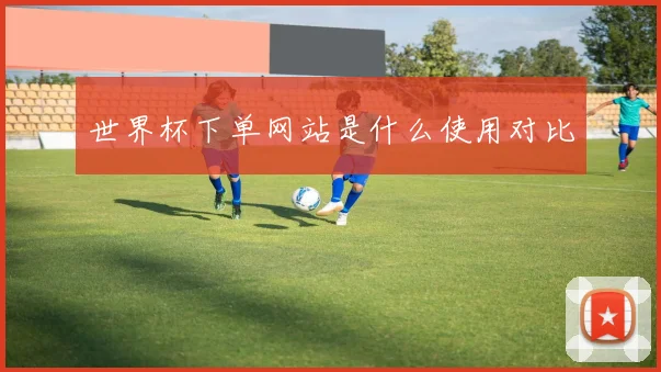 世界杯下单网站是什么使用对比