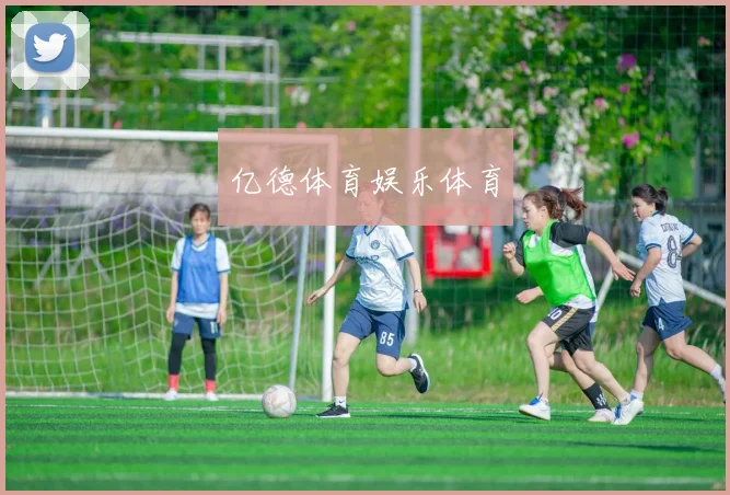 亿德体育娱乐体育