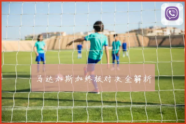 马达加斯加终极对决全解析
