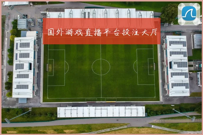 国外游戏直播平台投注大厅