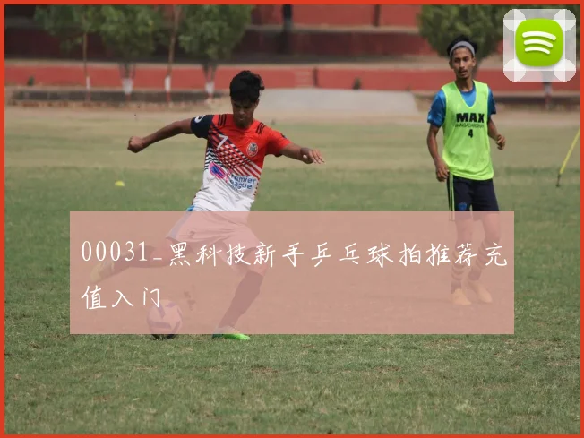 00031_黑科技新手乒乓球拍推荐充值入门