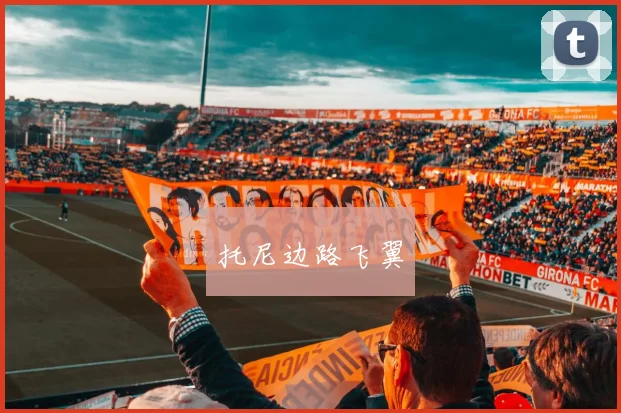 托尼边路飞翼