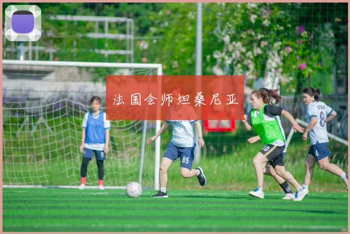 法国会师坦桑尼亚