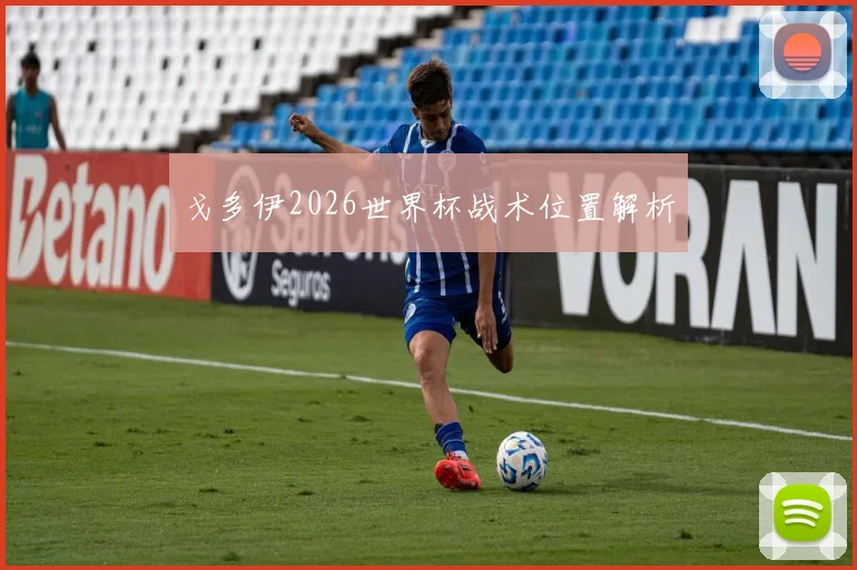 戈多伊2026世界杯战术位置解析