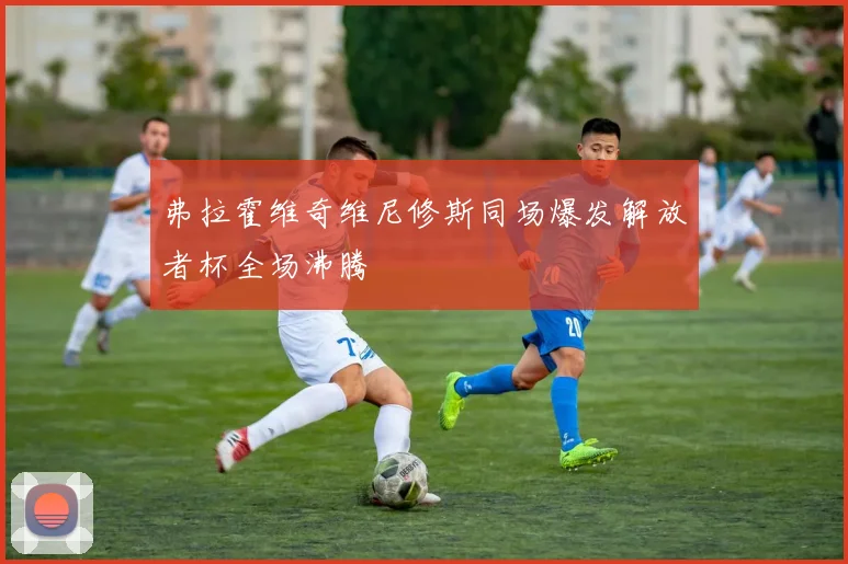 弗拉霍维奇维尼修斯同场爆发解放者杯全场沸腾