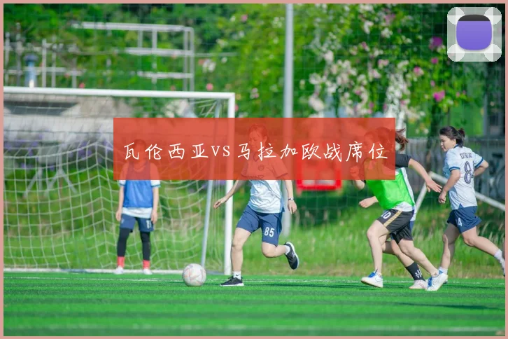 瓦伦西亚vs马拉加欧战席位