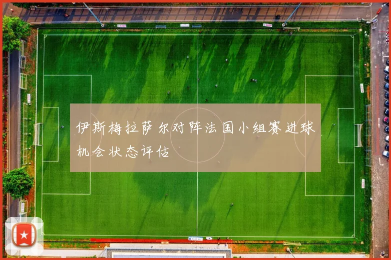 伊斯梅拉萨尔对阵法国小组赛进球机会状态评估