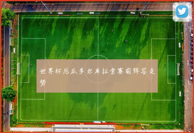 世界杯厄瓜多尔库拉索赛前阵容走势
